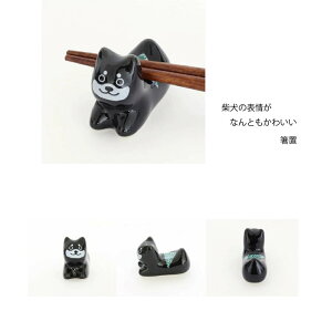 cX u Č 1[֑Ή  u ͂u x Jg[Xg  킢   u IuWF CeA Ό ČD ObY   v[g