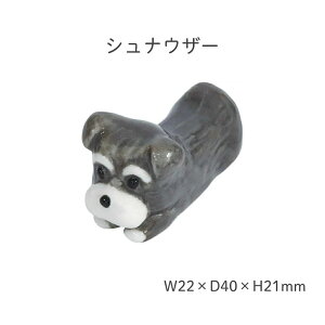 y1z cX ^ u[֑Ή  u ͂u x Jg[Xg   킢   ObY ViEU[ R[M[ rVt[[  C