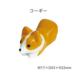 y1z cX ^ u[֑Ή  u ͂u x Jg[Xg   킢   ObY ViEU[ R[M[ rVt[[  C