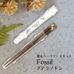 cX   Zbg Fossil vemh 18cm[֑Ή H@Ή  Zbg  gє    n[t P[X   vemh _Ci\[ ٓ