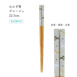 cX 񂸔 22.5cm 1V[֑Ή   ͂ Jg[ { Y H@ H@Ή  ObY Vo ` gCv R[M[ pO ݂₷ ₷ H@Ή v