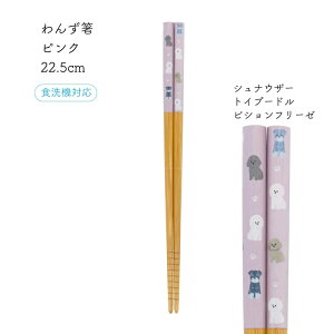 cX 񂸔 22.5cm 1V[֑Ή   ͂ Jg[ { Y H@ H@Ή  ObY Vo ` gCv R[M[ pO ݂₷ ₷ H@Ή v