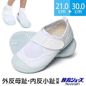 V[Y tbV21 傫TCY O  ΍ 㗚 C V[Y sh-kid001  sώ@ ̈l K  wZ qp ǂ LbY  zCg ʊw ʉ 21.0