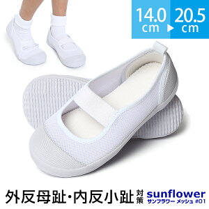 V[Y Tt[bV O  ΍ 㗚 C V[Y  sώ@ ̈l K  wZ qp ǂ LbY  zCg ʊw ʉ 14.0`20.5cm SH-KID00