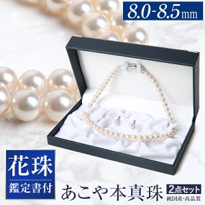 Ԏ^ lbNX 2_Zbg 8.0-8.5mm mӒ菑Eۏ؏tn AR^ ^  AR p[ lbNX ^ {^ sAX CO zCg tH[}  