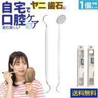 【3%OFFクーポン本日限定】 歯石屋くん(R) | 歯ブラシでは落ちない歯垢やヤニを除去 歯と歯ぐきの健康を…