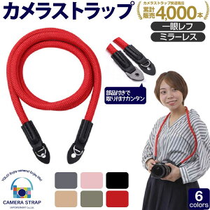 ubNtCf[XC JXgbv RfW J[ | J Xgbv ჌t RfW ~[X p[eB[ a Ǝ fWJ  킢  