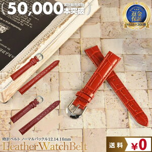 10XgӃN[| vxg ^ fB[X v U[ 12mm 14mm 16mm | rvxg ւ v rv oh xg 킢 n ̎q Vv  fB[X d OL {v J