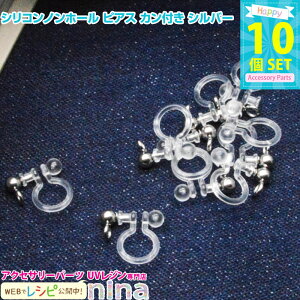 y2Zbgz VRmz[ sAX Jt Vo[ 10Zbg | ̍sAXł킢I / mz[ sAX  VR Jt Wpp[c | nhCh 