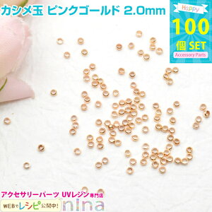 y3Zbgz JV sNS[h 2.0mm 100 | Xgbvɂ͌ȂJV UVNtg / ANZT[ Wf Ntg ANZT[Lbg L[z_[ (ANZT