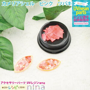 y2Zbgz JAVF sN coL lC | sNVFŃL[gɁI / VF sN  coL fUC nhCh ANZT[ | 킢 lC  fR 