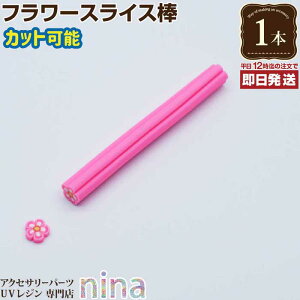 y2Zbgz t[XCX_ #5 | WlCȂǂɑ劈̃t[XCX Ntgf / f fRlC fRp[c XCXp[c lCf (|ENtgEn N