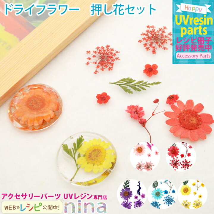 楽天市場 ドライフラワー 押し花 セット 花 手作り 押し花 ハンドメイド ドライフラワー Uvレジン 手芸 イエロー レジン 黄色 アクセサリー デザイン レジンレシピ セット 材料 封入 デコ 素材 大人 かわいい レジンアクセサリーパーツのニーナ 楽天市場 ドライフラワー 押し花 セット 花 手作り 押し花 ハンドメイド ドライフラワー Uvレジン 手芸 イエロー レジン 黄色 アクセサリー デザイン レジンレシピ セット 材料 封入 デコ 素材 大人 かわいい レジンアクセサリーパーツのニーナ