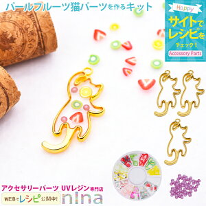 ll2܂ p[t[cLp[cLbg | t[c UVW XCX_ | p[ W ANZT[ L ޗ Wg f 킢 ȒP fUC p[c  n