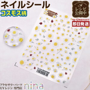 ll2܂ lCV[ fUC RXX | fUC fUC \邾  lCV[ nhCh UVW  | At@xbg W p[c WVs 