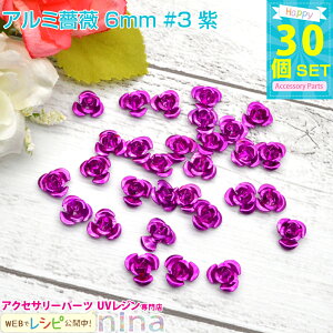 y5Zbgz A~KN 6mm 30Zbg #3  | JtȏKÑ`[tłBWfRfނɂ҂I ANZT[ p[c / W p[c Ntg ANZT[p[c |