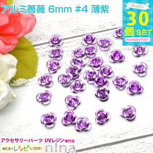 y3Zbgz A~KN 6mm 30Zbg #4  | JtȏKÑ`[tłBWfRfނɂ҂I ANZT[ p[c / Ntg `[t nhCh ANZT[