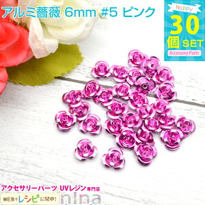 y2Zbgz A~KN 6mm 30Zbg #5 sN | JtȏKÑ`[tłBWfRfނɂ҂I fRp[c / `[t ANZT[p[c | f ޗ ^p