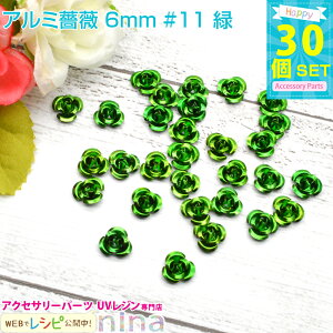 y5Zbgz A~KN 6mm 30Zbg #11  | JtȏKÑ`[tłBWfRfނɂ҂I ANZT[ p[c / ^p[c nhNtg  WANZ