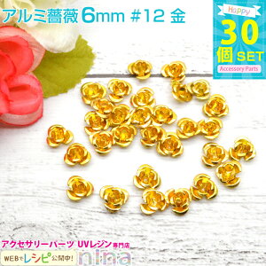ll2܂ A~KN 6mm_30Zbg #12  | JtȏKÑ`[tłBWfRfނɂ҂I W p[c / nhNtg UVNtg Wޗ W ^ 