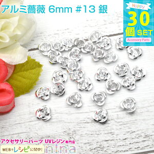 y3Zbgz A~KN 6mm 30Zbg #13  | JtȏKÑ`[tłBWfRfނɂ҂I W p[c / UVNtg  WANZ nhChANZT