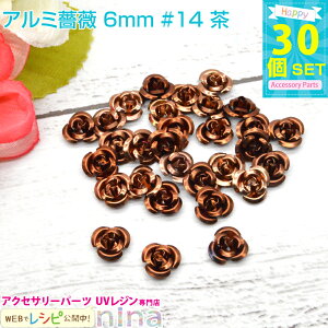y5Zbgz A~KN 6mm 30Zbg #14  | JtȏKÑ`[tłBWfRfނɂ҂I `[ p[c /  Wޗ W ^ Wf W (