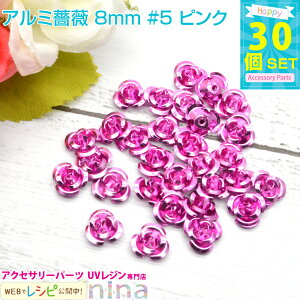 y3Zbgz A~KN 8mm 30Zbg #5 sN | JtȏKÑ`[tłBWfRfނɂ҂I ANZT[ p[c / W W p[c `[t nh