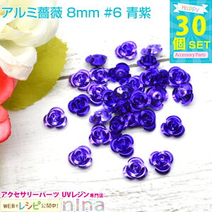 y3Zbgz A~KN 8mm 30Zbg #6  | JtȏKÑ`[tłBWfRfނɂ҂I ANZT[ p[c / W p[c Ntg ANZT[p[c 