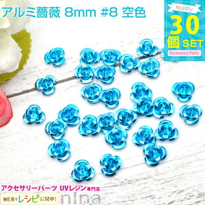 y3Zbgz A~KN 8mm 30Zbg #8 F | JtȏKÑ`[tłBWfRfނɂ҂I `[ p[c / `[t ANZT[p[c | f ޗ ^