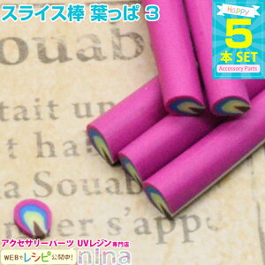 10%OFFN[|{ y2Zbgz XCX_ t 5{Zbg 3 | fRp[cƂĂ킢tσXCX_ / XCX_ t  y_g fRp[c WA[g UV