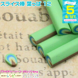 ll2܂ XCX_ t 5{Zbg 12 | XCX_JbgĂɁI / XCX_ t 킢  sAX | fR ANZT[ nhCh Zbg y_