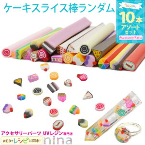 y3Zbgz XCX_ P[L _A\[g10{Zbg ނ͑Iׂ܂ | P[X / XCX_ 킢 Jt XC[c fR[V P[L | nhCh C`S 