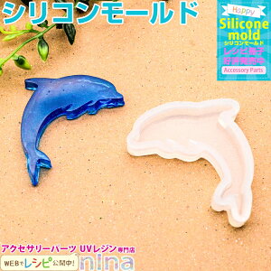 ll2܂ VR[h CJ | CĴ킢ANZT[ / CJ VR[h C Wt W lbNX p[c UVW nhCh ANZT[ V