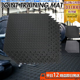 楽天市場 トレーニングマット 大の通販
