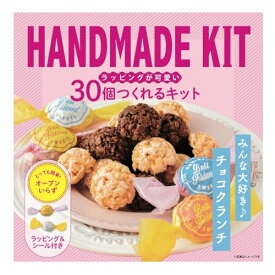 ミントスタイル 30個つくれるキット チョコクランチ 240g