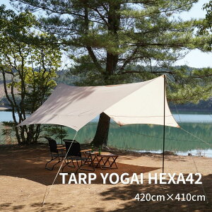 yzNINEHILLS(iCqY)^[v eg 2.3m A~ wLT^[v AEghA^[v 悯 AEghA 4.2mx4.1m@Lv tFX YOGAIi4lpjThJ[ TVF[h