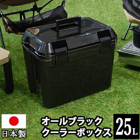 【春の行楽セール】クーラーボックス 容量25リットル 25L 黒 ブラック【140-A27】モノトーン クーラーBOX バーベキュー BBQ 海釣り 磯釣り 海水浴 バーベキュー 行楽 オシャレ おしゃれ かっこいい カッコイイ 収納ケース【送料無料】