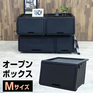 収納ボックス 黒 収納ケース カラーボックス 通販 価格比較 価格 Com