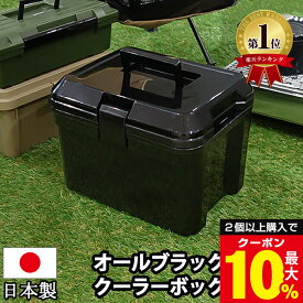 ＼2個以上購入で最大10%OFFクーポン／ クーラーボックス 小型 14L 黒 ブラック【100-A27】クーラーBOX ミニクーラーボックス おしゃれ 釣り 部活 キャンプ アウトドア レジャー ピクニック 運動会 海水浴 日本製【送料無料】