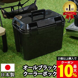 ＼2個以上購入で最大10%OFFクーポン／ クーラーボックス 小型 25L 黒 ブラック【140-A27】クーラーBOX ミニクーラーボックス おしゃれ 釣り 部活 キャンプ アウトドア レジャー ピクニック 運動会 海水浴 日本製【送料無料】