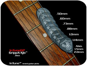 IWisbNtI@GrippX-XJB WY^Cv@Ж IWi摜vg 100`ysz