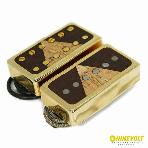 Righteous Sound Pickups@1991 GAZING Monolith Set Gold Cover Pioneer Insert Cacao V@/ M^[ sbNAbv VORC nobJ[