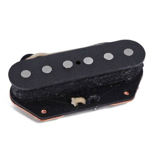 Lundgren Telecaster Vertigo Bridge 単品/ブリッジ側