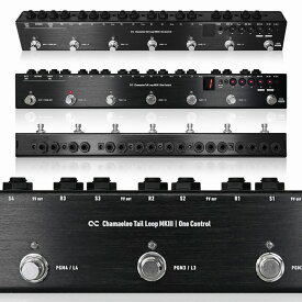 One Control - Chamaeleo Tail Loop MkIII | 5ループ スイッチャー プログラマブルスイッチャー ギター エフェクター