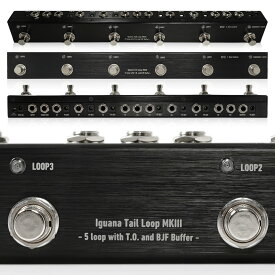 One Control - Iguana Tail Loop MKIII- 5 Loop with T.O. and BJF Buffer - | スイッチャー