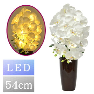 ~ \tgCg Ӓ LED ~傤 ~ ~ V~