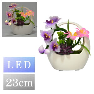 ~ ~iX ~iX |bg Ӓ LED ~傤 ~ ~ V~