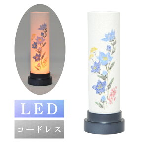 ~ O Ȃ 205 u[O[ LED n ~傤 ~ ~ V~