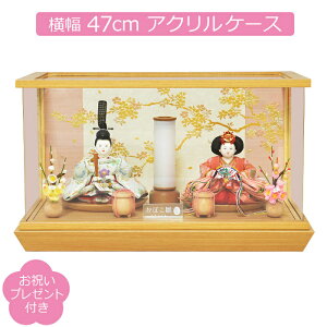 l` P[X o s씌p Oڂ  e  ANP[X RpNg ЂȐl`