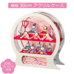 l`   ߂ ׏\l P[X \l 苾^ ~^ANP[X Ԍ30cm RpNg ЂȐl`